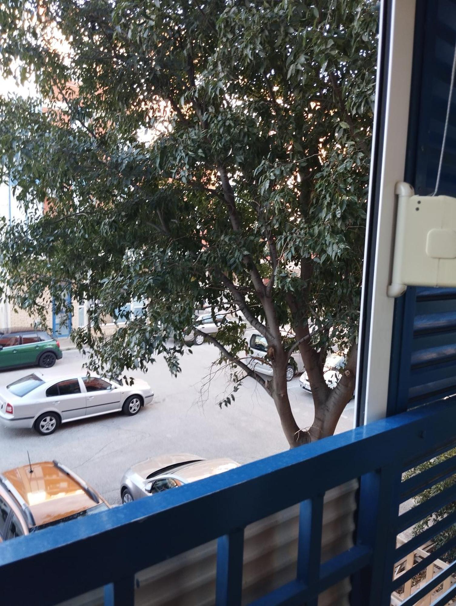 Noemi Apartment Zadar Dış mekan fotoğraf